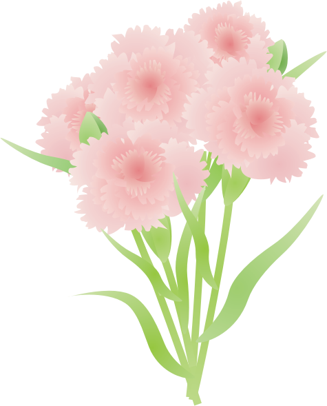 �J�[�l�[�V����11