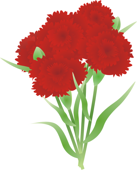 �J�[�l�[�V����12