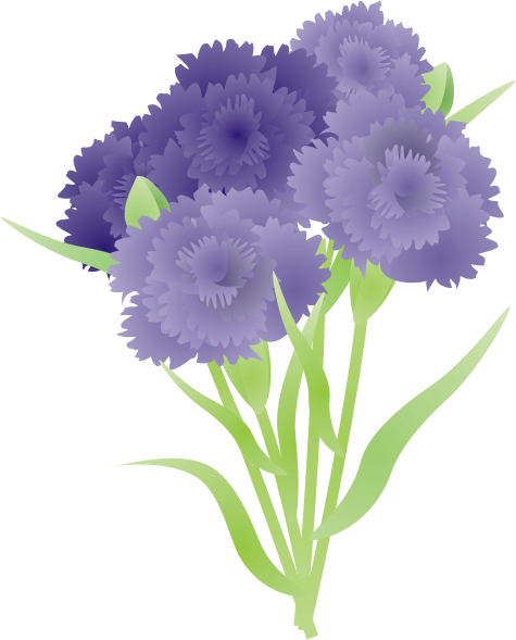 �J�[�l�[�V����13