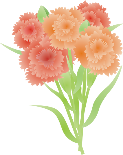 �J�[�l�[�V����15