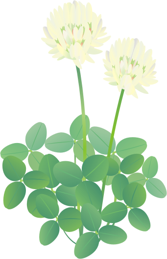 �N���[�o�[12