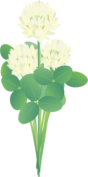 �N���[�o�[14