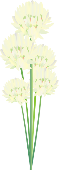 �N���[�o�[15