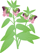 �R���t���[12