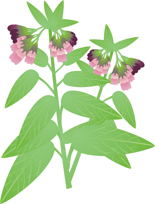 �R���t���[12