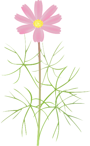 �R�X���X10