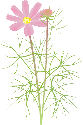 �R�X���X12