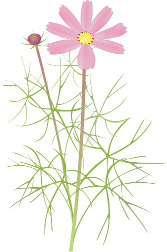 �R�X���X13