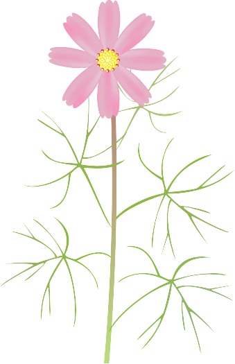 �R�X���X15