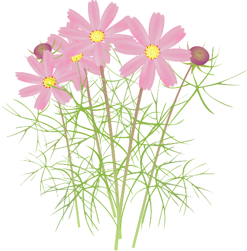 �R�X���X17