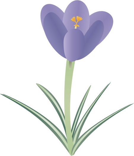 �N���b�J�X10