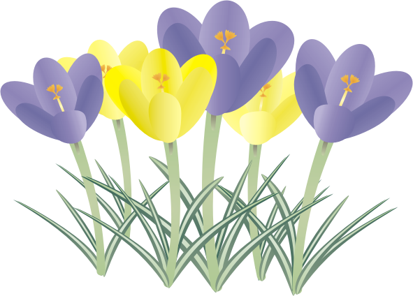 �N���b�J�X14