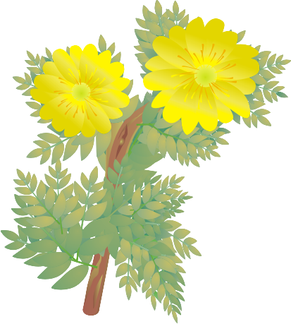 ������11