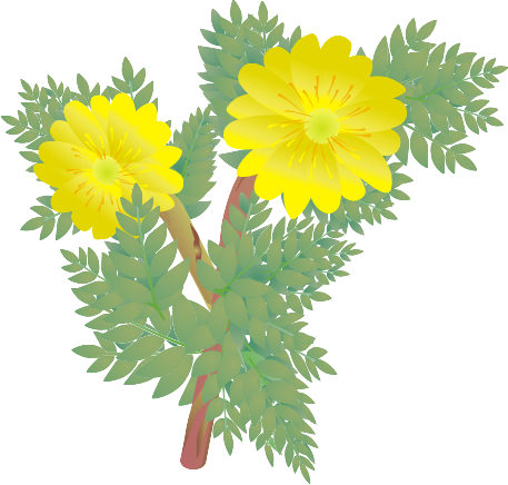 ������13