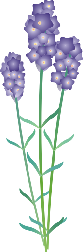 ���x���_�[11