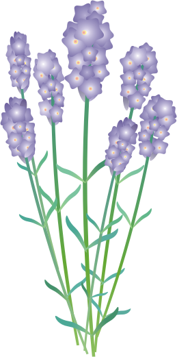 ���x���_�[12