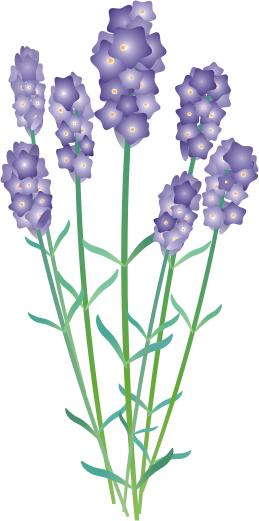 ���x���_�[13