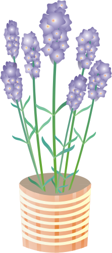 ���x���_�[14