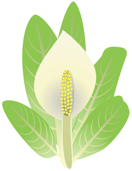 �~�Y�o�V���E12