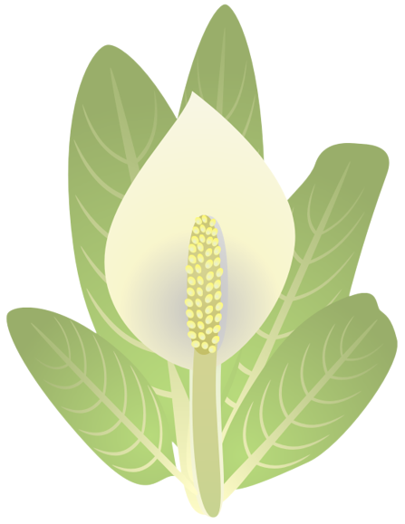 �~�Y�o�V���E13