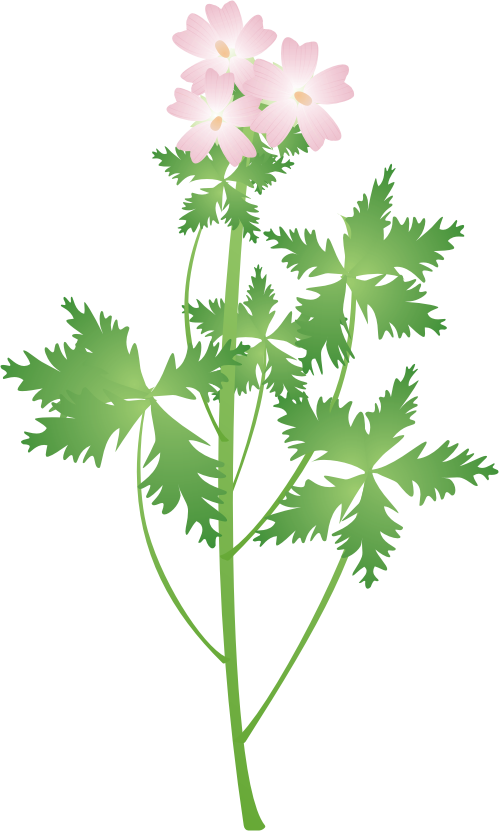 ���X�N�}���E10