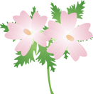 ���X�N�}���E13