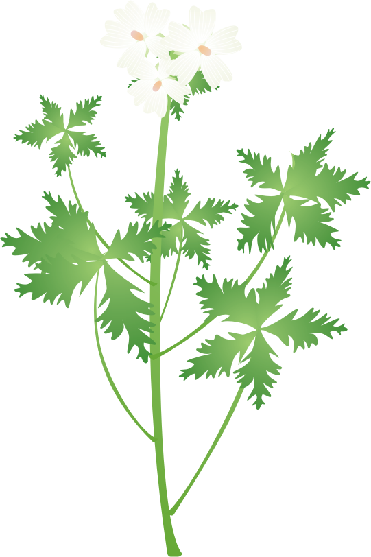 ���X�N�}���E14