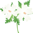 ���X�N�}���E16