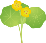 �i�X�^�e�B�E��10