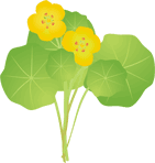 �i�X�^�e�B�E��11