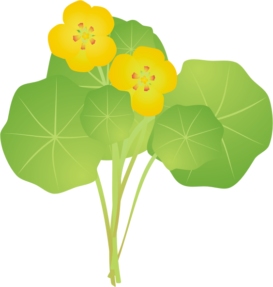 �i�X�^�e�B�E��11