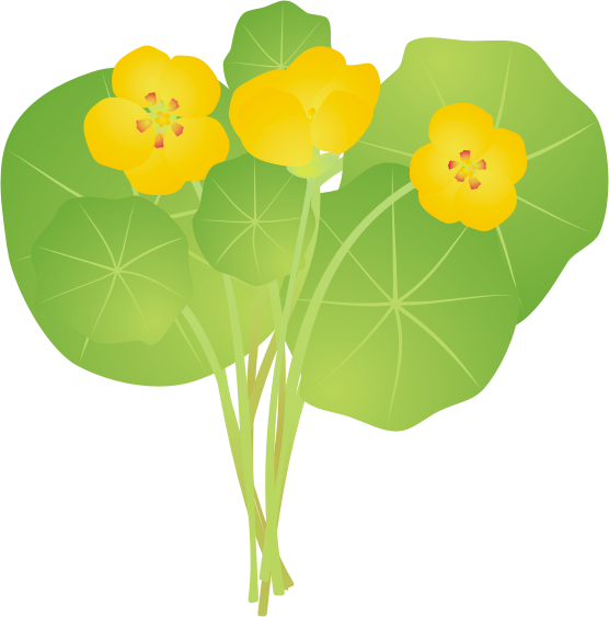 �i�X�^�e�B�E��12