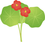 �i�X�^�e�B�E��13