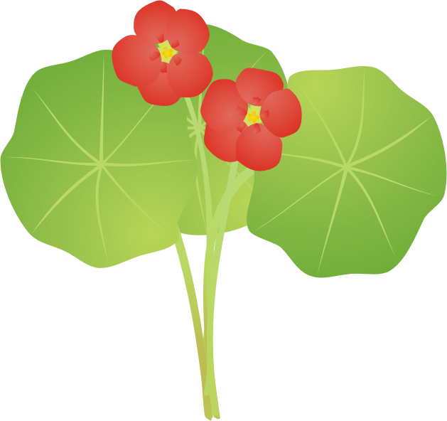 �i�X�^�e�B�E��13