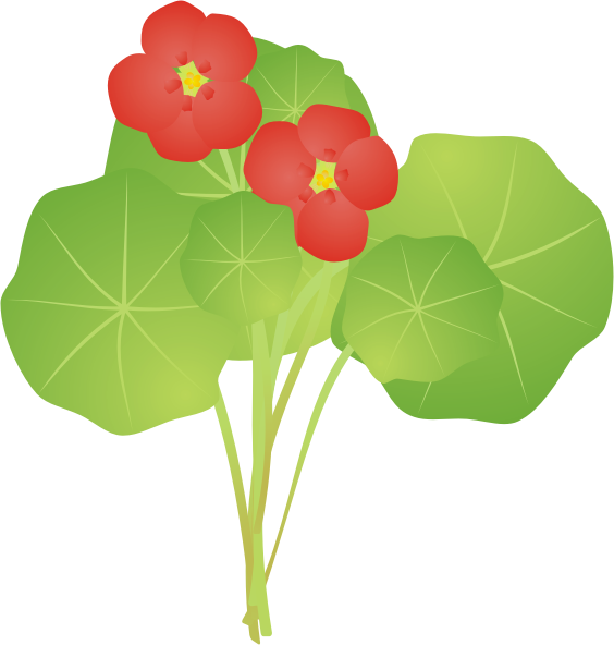 �i�X�^�e�B�E��14