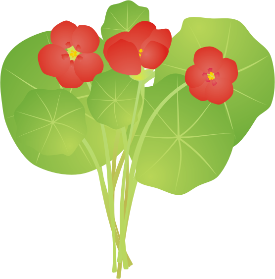 �i�X�^�e�B�E��15