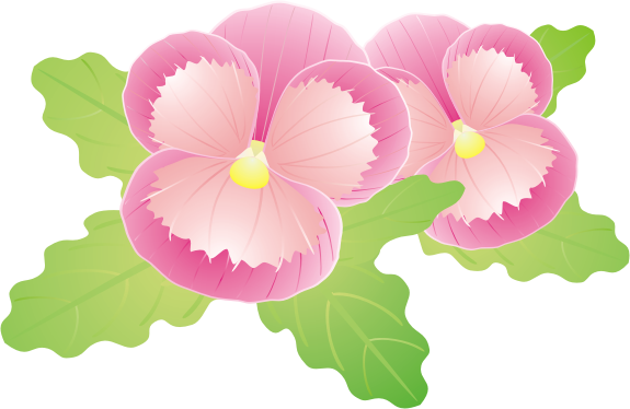 �p���W�[14