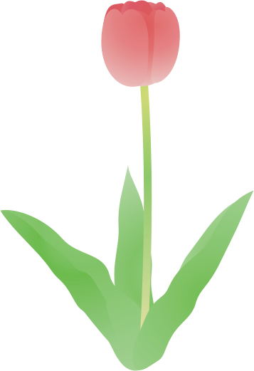 �`���[���b�v15