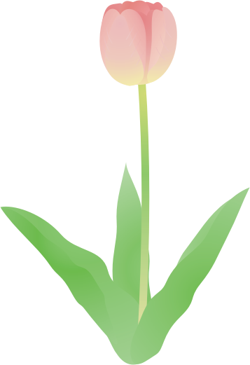 �`���[���b�v16