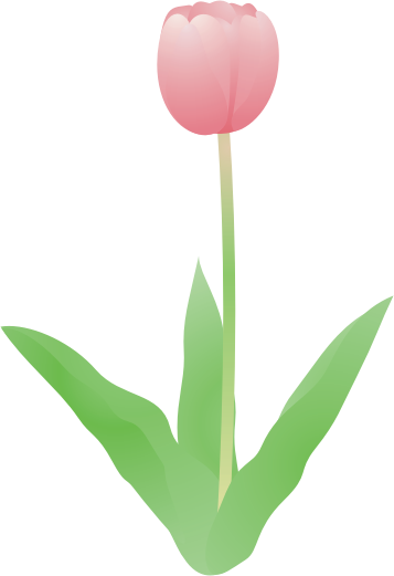 �`���[���b�v17