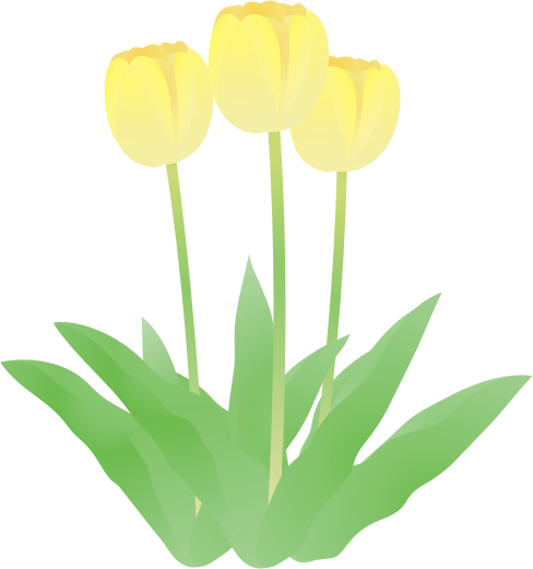 �`���[���b�v����15