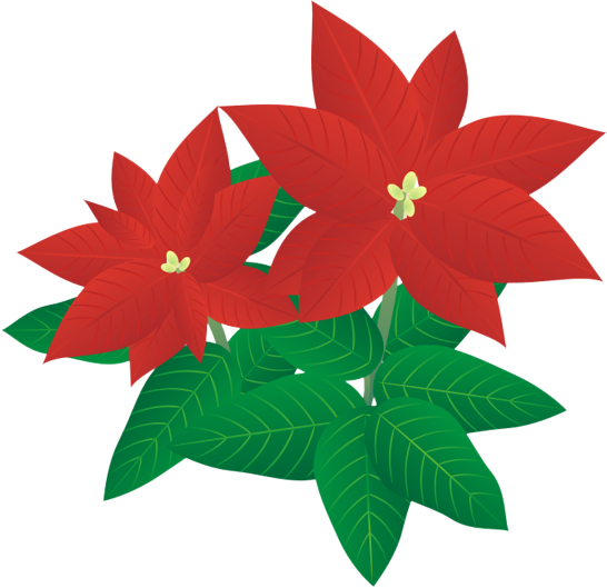 �|�C���Z�`�A11