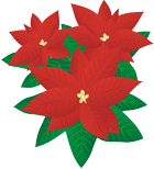 �|�C���Z�`�A12