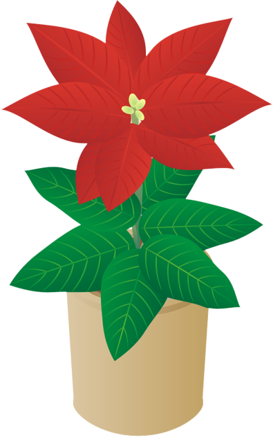 �|�C���Z�`�A14