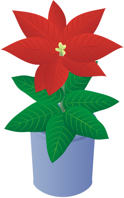 �|�C���Z�`�A15