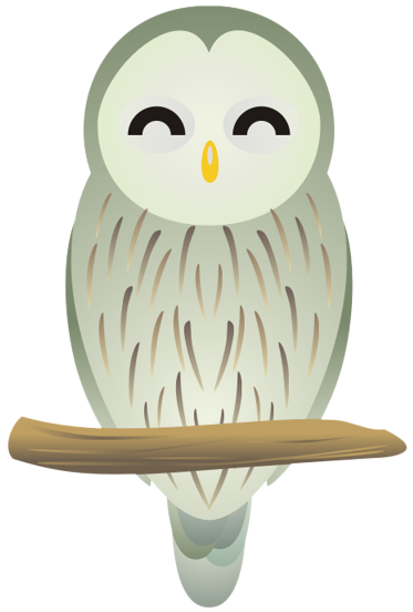 �t�N���E12