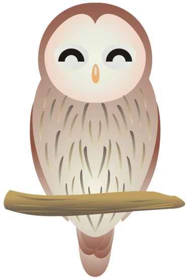 �t�N���E14