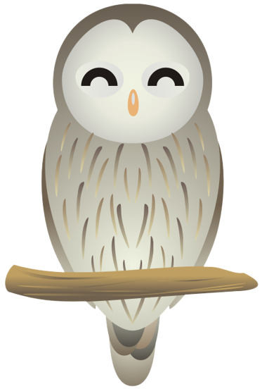 �t�N���E15