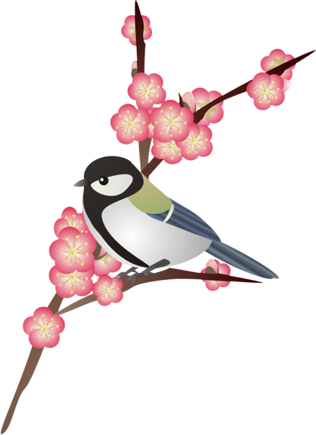 �����Ɣ~11