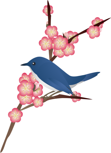 �����Ɣ~12